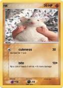 rat