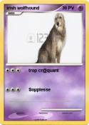 irish wolfhound