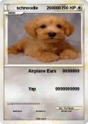 schnoodle