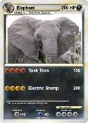 Elephant