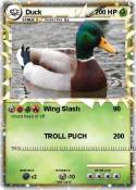 Duck