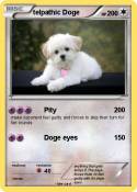 telpathic Doge