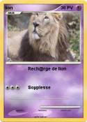 lion