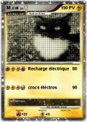 M .cat