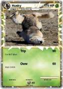 Husky