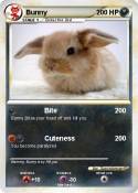 Bunny