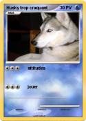 Husky trop craq