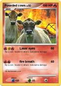 Poseded cows
