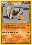 pug