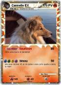 Cannelle EX