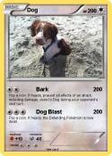 Dog