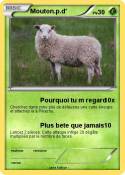 Mouton.p.d'