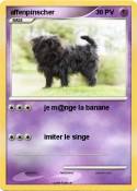 affenpinscher