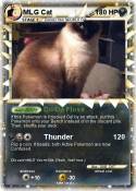 MLG Cat