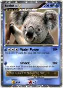 koalak
