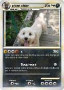 chien chien