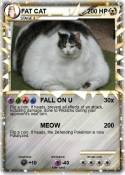 FAT CAT
