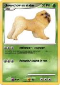 chow-chow en
