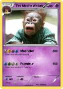 T'es Moche Wall
