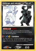 reshiram and