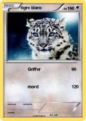 tigre blanc