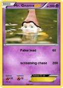 Mr. Gnome