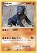 Punch