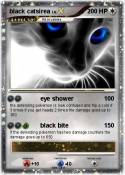 black catsirea