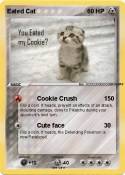 Eated Cat