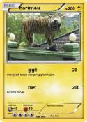 harimau