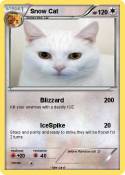 Snow Cat
