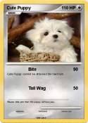 Cute Puppy