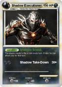 Shadow Executio