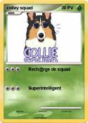 colley squad
