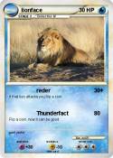 lionface