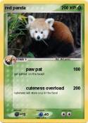 red panda