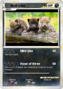 Wolf cubs
