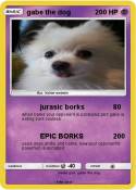 gabe the dog