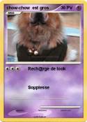 chow-chow est
