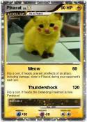 Pikacat