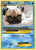 pugachue