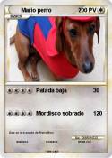 Mario perro