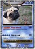 Pug