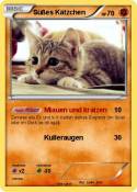 Süßes Kätzchen