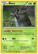 Bunny