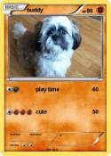 buddy
