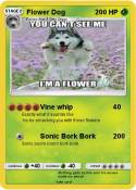 Flower Dog