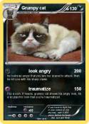 Grumpy cat