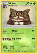 Lil' Bub