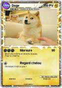 Doge